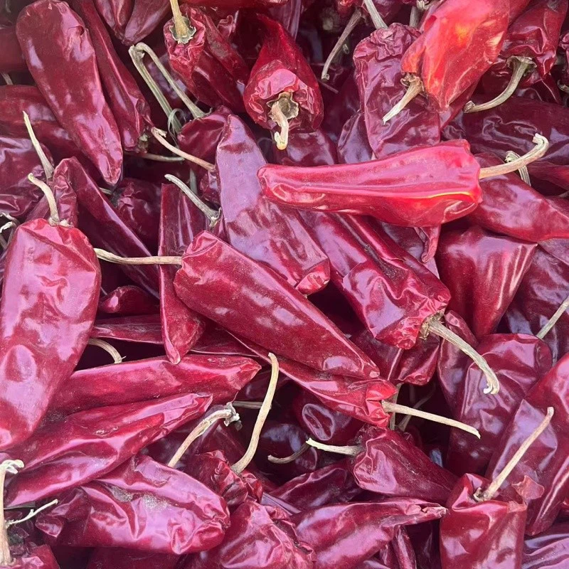 Yidu peperoncino rosso
