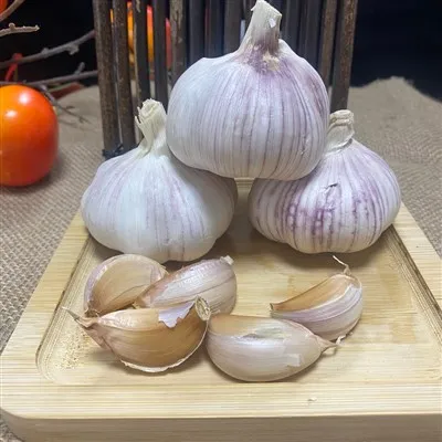 Aglio con buccia multi-viola-